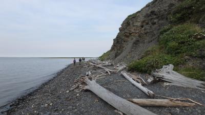 Along the shore of the Kolyma River