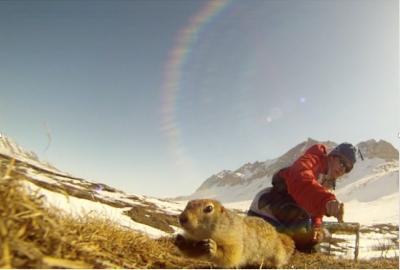 Squirrel release