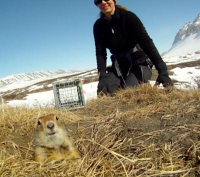 Jennifer Baldacci with a released Arctic ground squirrel. Photo by Jennifer Baldacci.