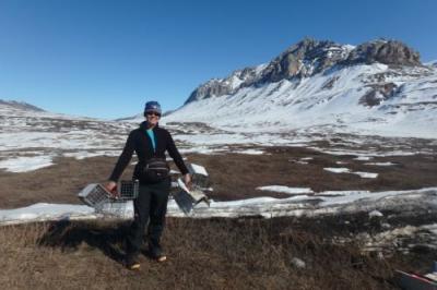 Jennifer Baldacci carrying ground squirrel traps at Atigun field site. Photo by Cory Williams.