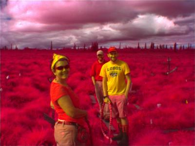 Research Team in red