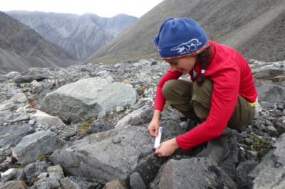 Measuring lichens