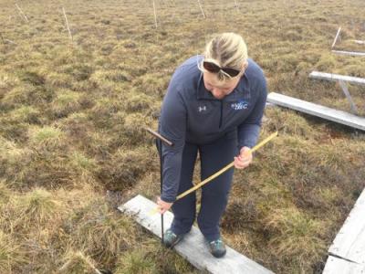 Melissa Lau taking thaw depth measurements