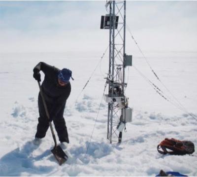 Melissa Lau digging out the cabels at the Barrow site