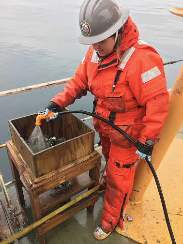 Piper Bartlett-Browne processing mud in a sieve on the deck of the USCGC Healy. (Photo courtesy of Nicole Villeneuve) 