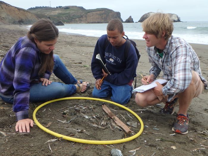 Three people look at items they found on a beach