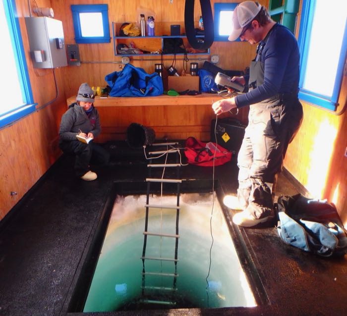 Two people taking water measurements through a hole in the sea ice