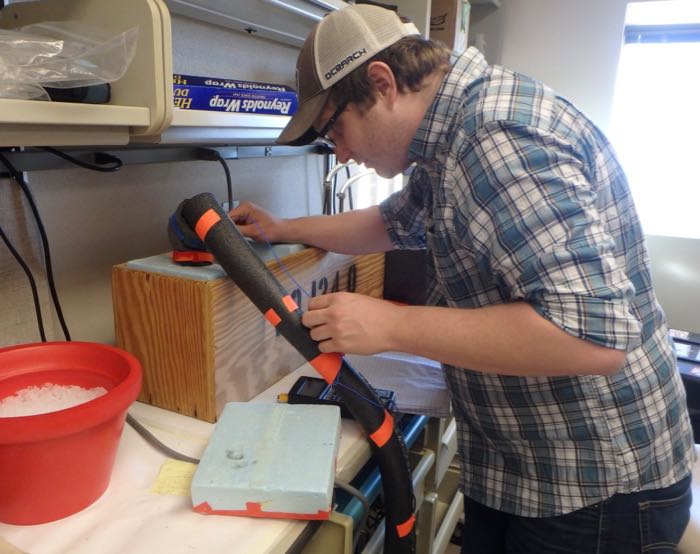 A scientist peers in a thermal block