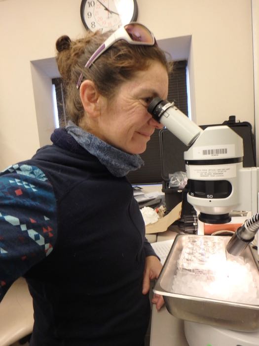 A woman looks through a microscope