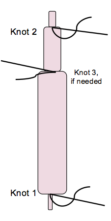 Knot location for constructing model sea spider leg for diffusion experiment.