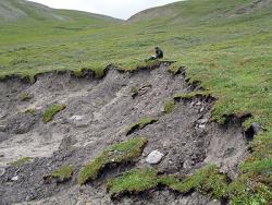 A thermokarst failure on the tundra