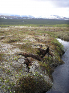 Thawing permafrost