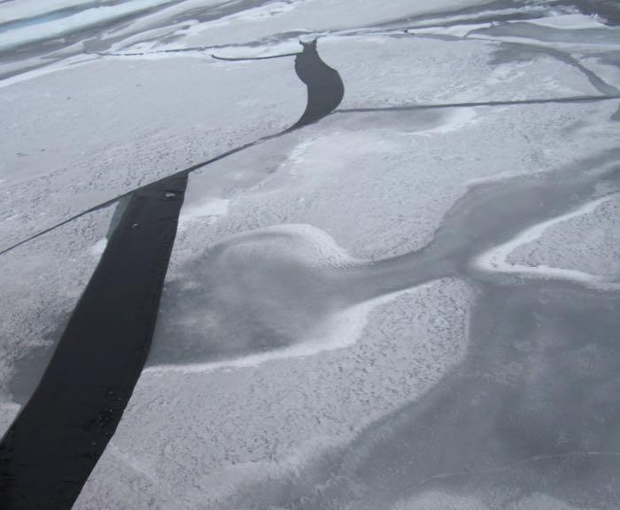 Thin, first year sea ice with cracks. The ice we broke through is called *residual* ice, meaning that it survived the Arctic summer and will soon be second-year ice. Photo by Dave Jones (PolarTREC 2017), Courtesy of ARCUS.