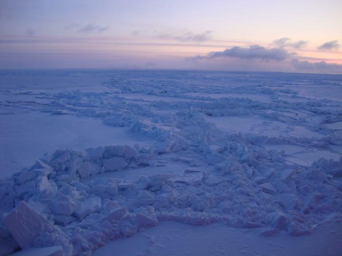 Pressure ridges in the sea ice. When flat floes of sea ice collide with each other, sometimes pressure ridges like this form. Chunks of ice pile on top of each other, creating areas of greater thickness. When covered with snow, these pressure ridges can be important pupping habitat for ice seals. Photo by Chantelle Rose (PolarTREC 2011), Courtesy of ARCUS  