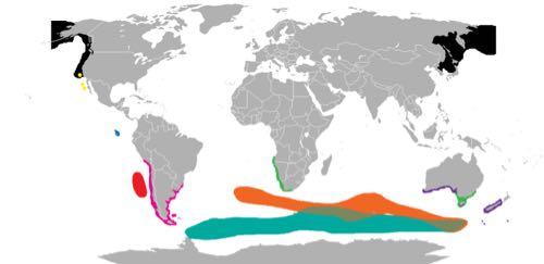 Fur Seal Range Map