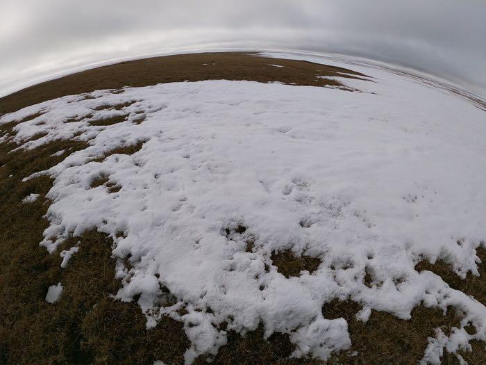 Snowy Tundra