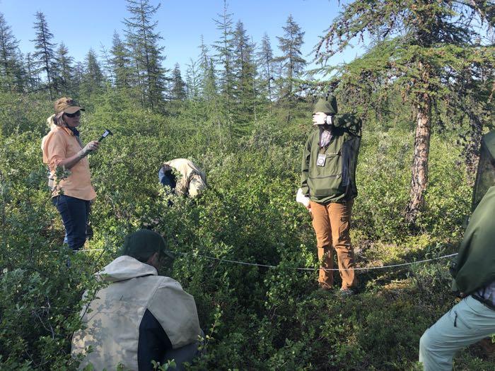 Collecting data along a transect