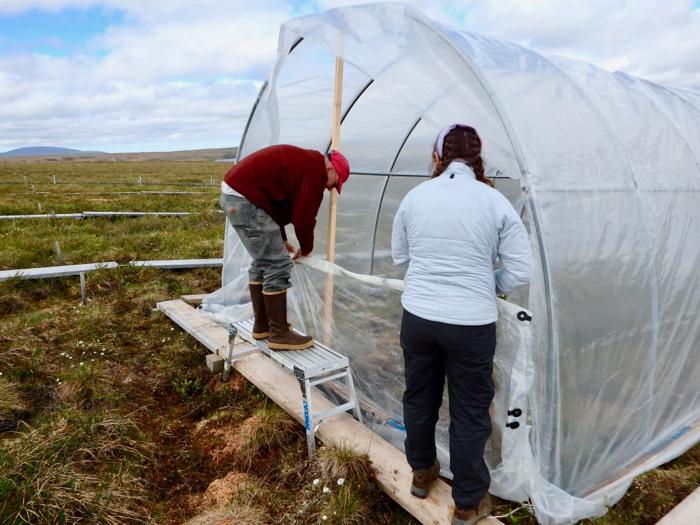 Covering Ends of Greenhouse