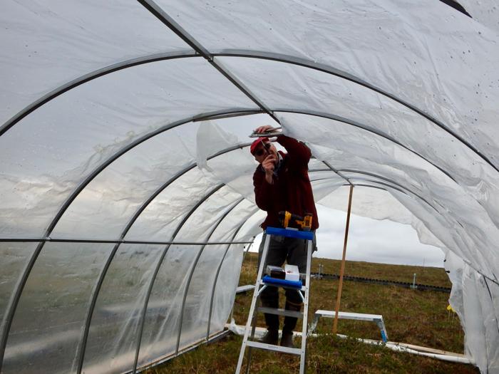 Greenhouse Ceiling Window