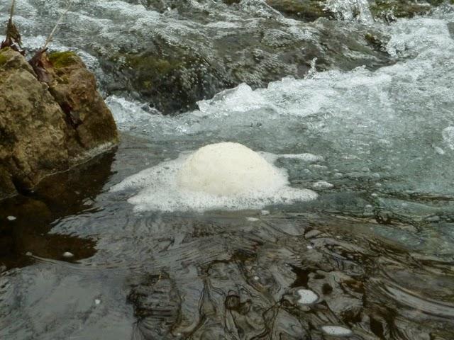 Foamy Stream