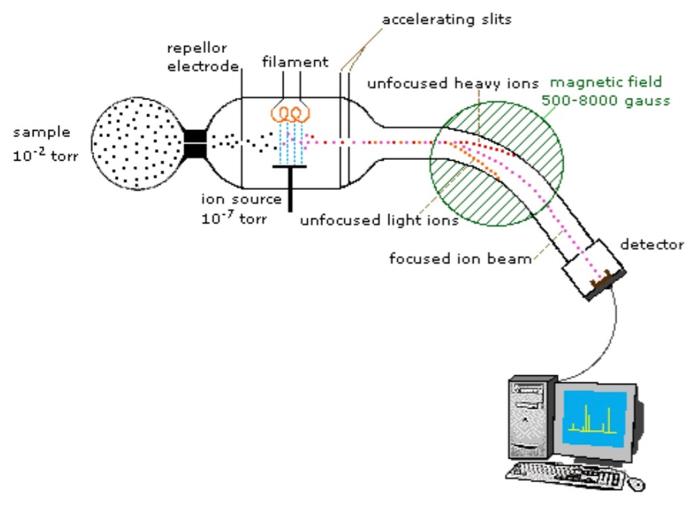 Mass Spectrometer