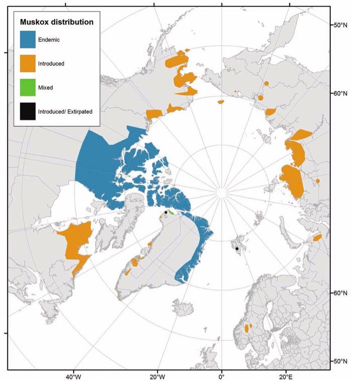 Muskox Range