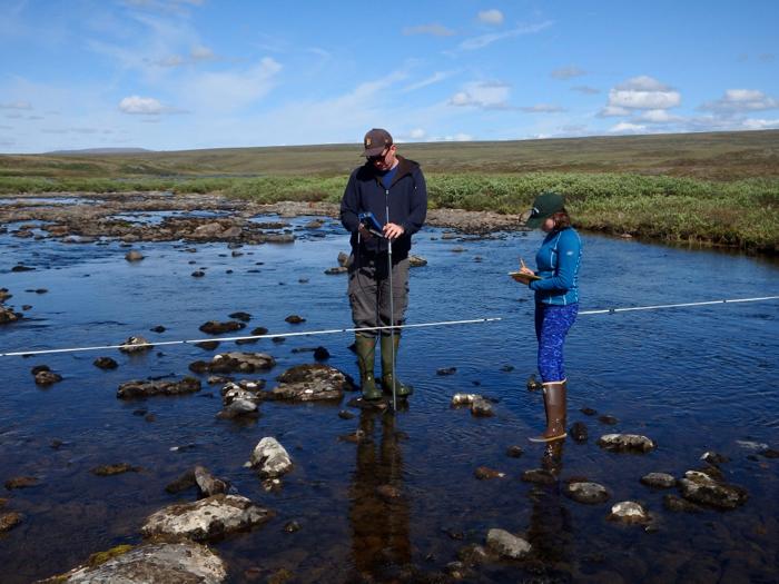 Collecting Stream Discharge Data