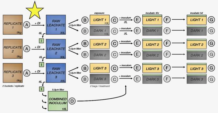 Leachate Preparation in Timeline