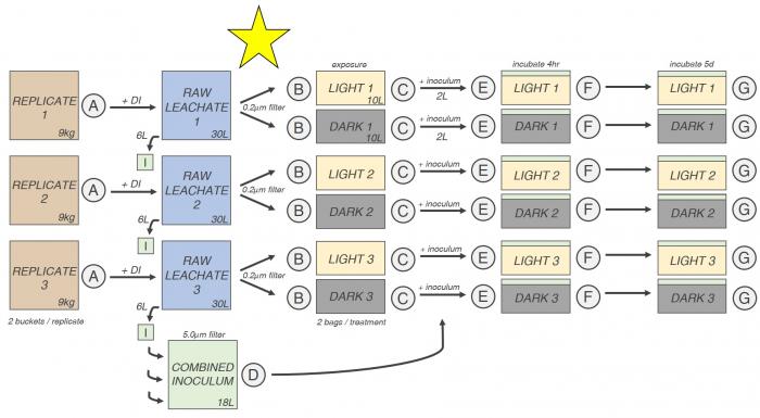 Leachate Filtration in Timeline