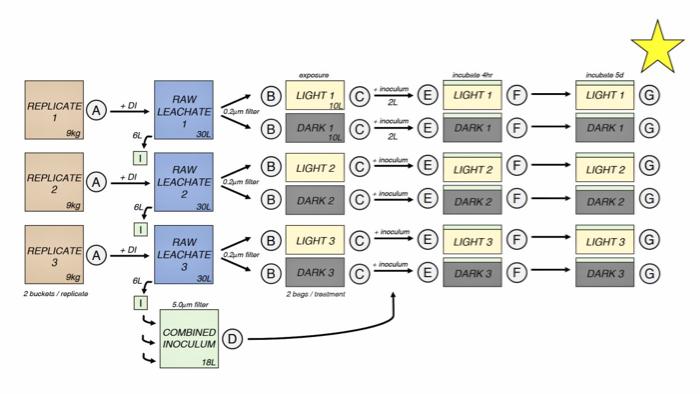 Sampling and Analysis in Timeline