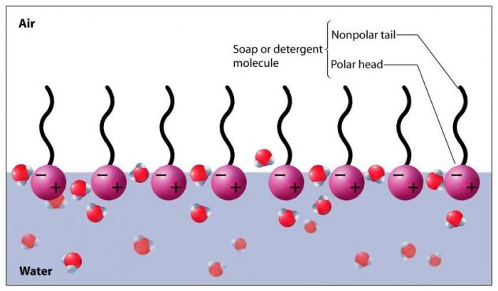 Soap and Surface Tension