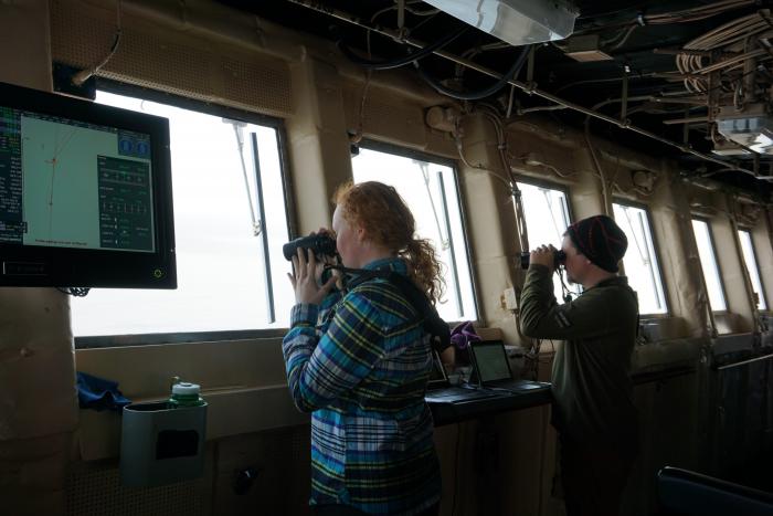 Charlie and Linnaea Wright of US Fish and Wildlife counting and identifying birds on the bridge of the Healy.