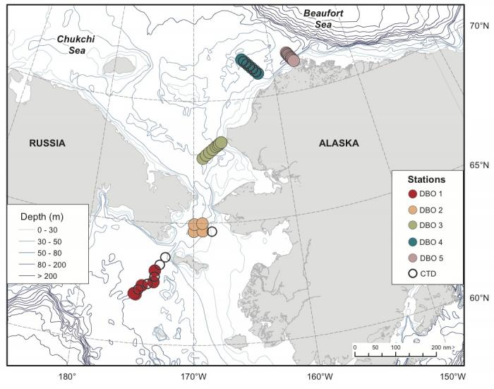 The Distributed Biological Observatory (DBO) sampling map.