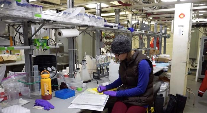 Evie Fachon (WHOI) working on the harmful algal blooms project.