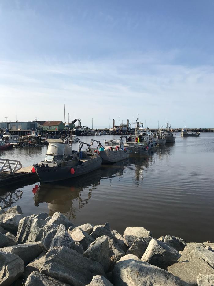 Fishing ships docked in the Nome Port.