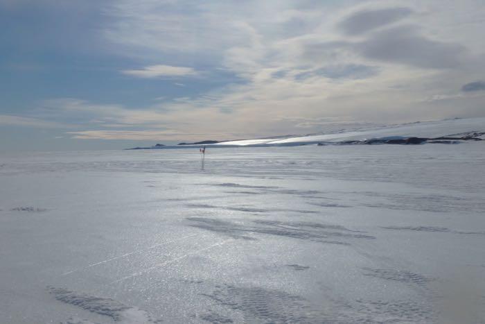 Wind blown sea ice