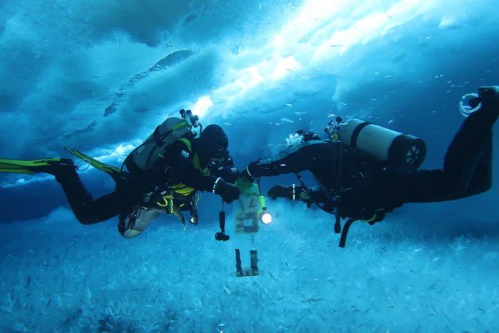 Amanda and USAP diver Rob Robbins collecting juvenille fish