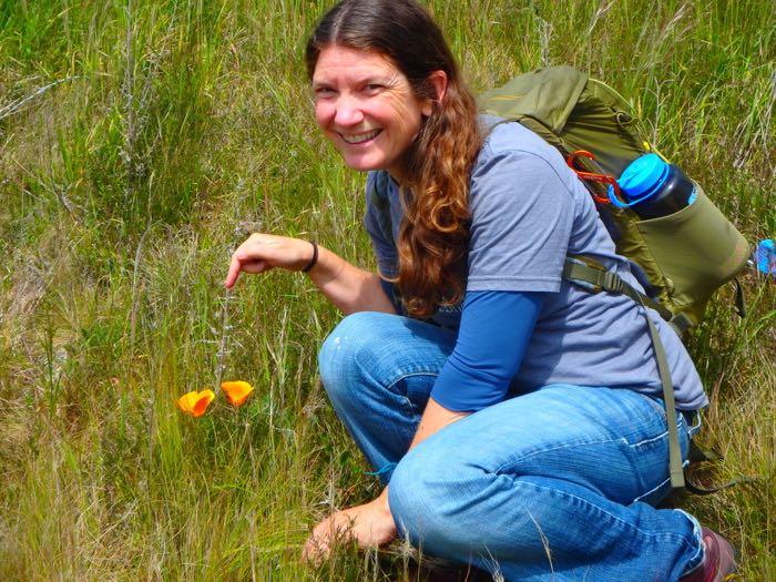 Amy Osborne and California poppy on the Banks Peninsula, New Zealand