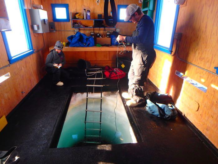 Amy and Graham place an instrument into the dive hole to measure and record the dissolved oxygen at different depths.