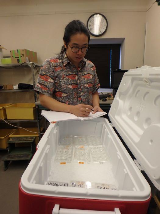 Aaron Toh recording information about trays of nudibranch and sea spider embryos that are stored in a cooler.