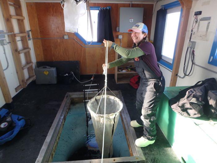 Amy Osborne pulls a plankton tow out of the diving hole at the Jetty Hut in McMurdo Sound, Antarctica.