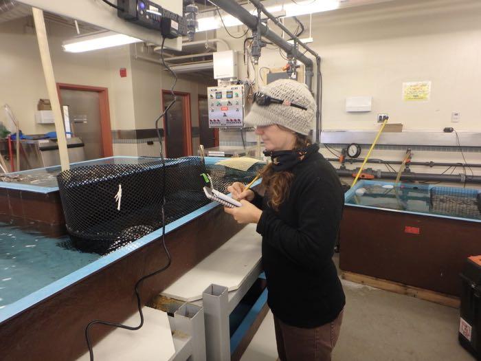 taking notes in an aquatic lab