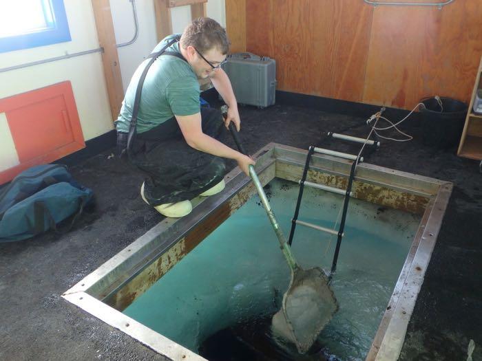 Graham Lobert uses a net to clean the ice out of a dive hole.