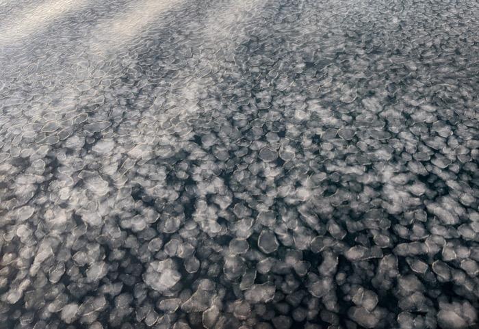 Pancake ice in the Amundsen Sea, Antarctica