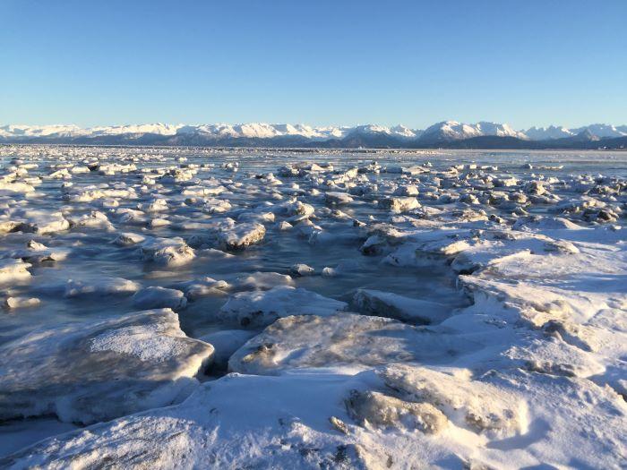 Sea ice in shallow area