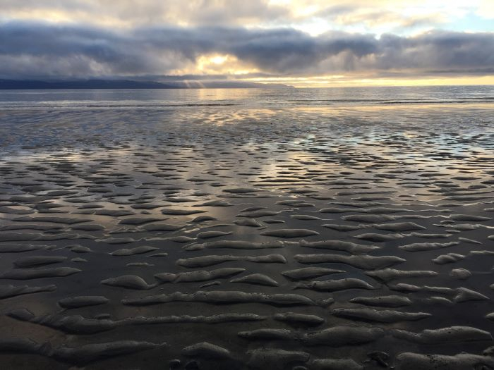 Sun, ocean, and sandy beach