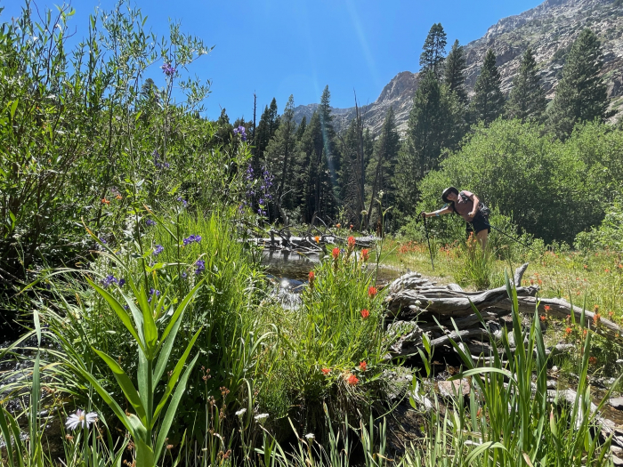 Lundy Canyon