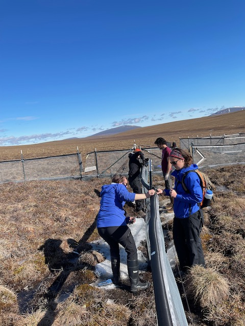 Sarah, Nicole, Nick, and Miriam working on fixing the fence.