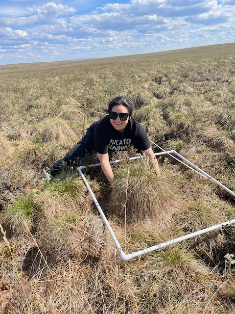 Lexy stands behind a big tussock with a whole bunch of flowers on it. 