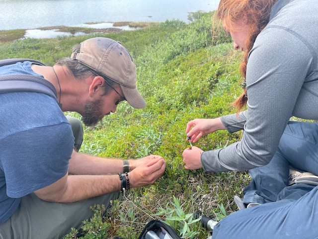 Caroline and Jeremy try to extract nectar. 